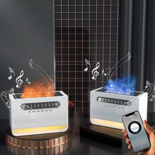 Haut-parleur Bluetooth Portable