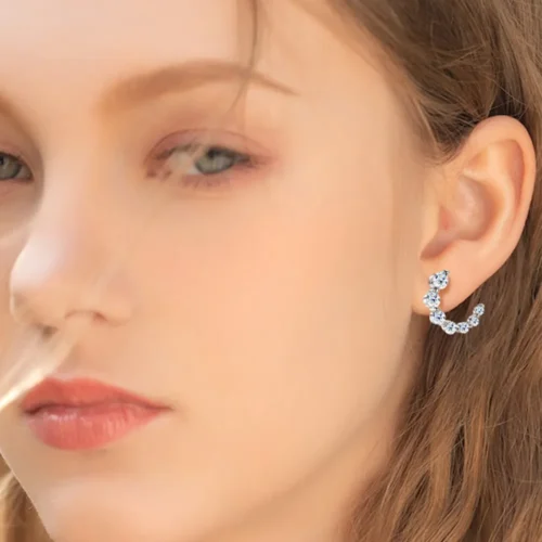 Silver Stud Moissanite Earrings - Image 6