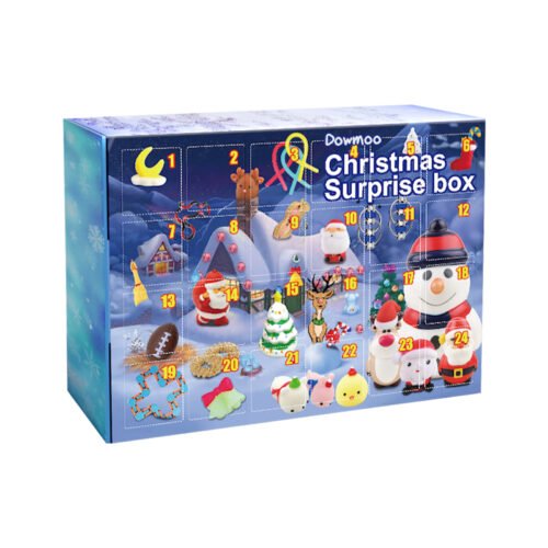 Christmas Surprise Blind Box 24