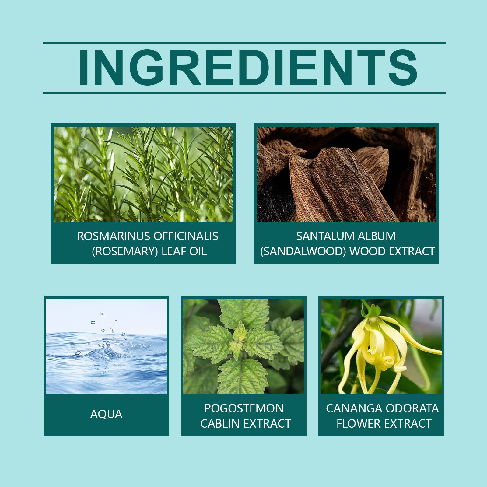 Charm Ball Perfumes contains rosemary oil - Image 6