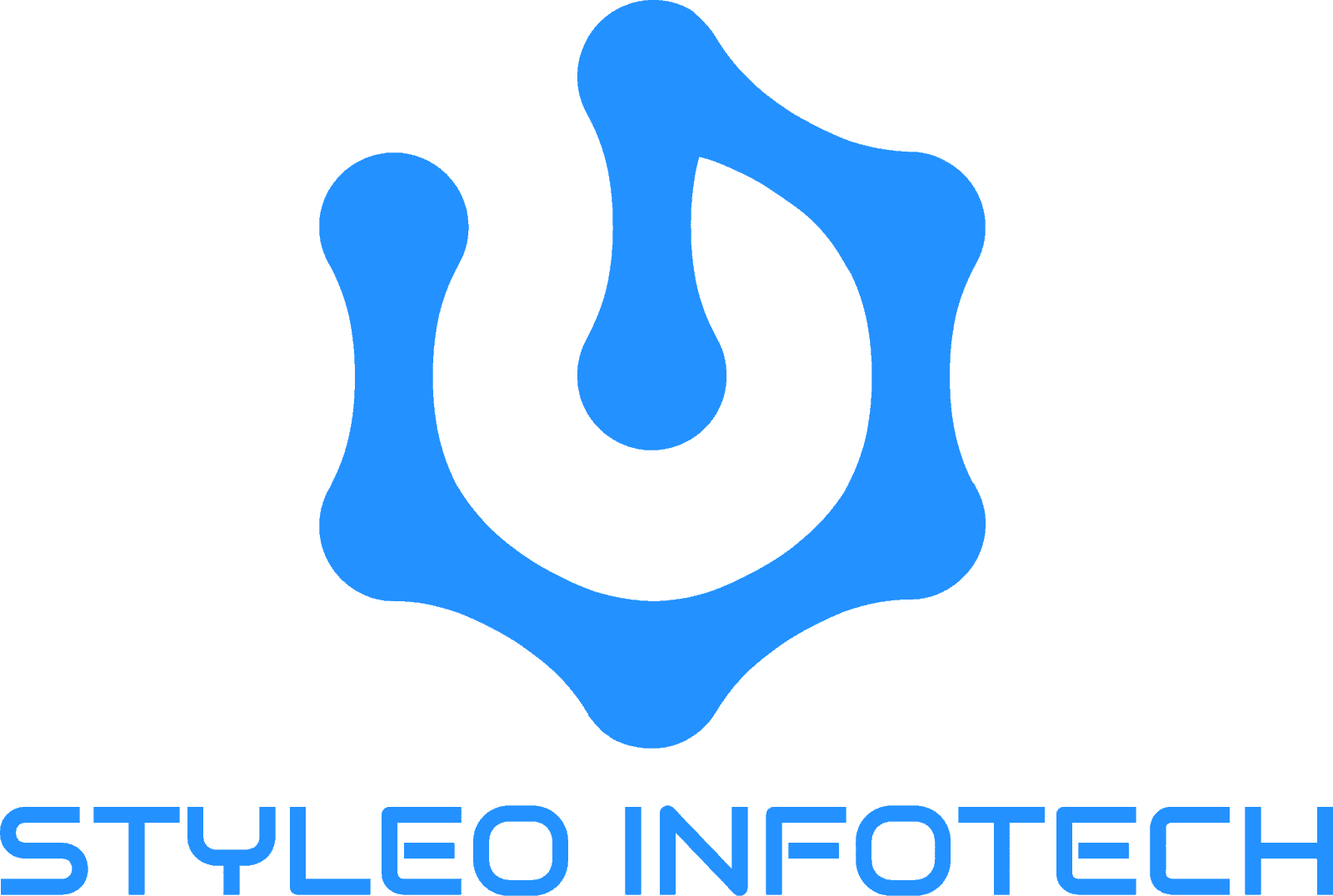 Styleo infotech